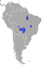 Hyacinth macaw habitat distribution